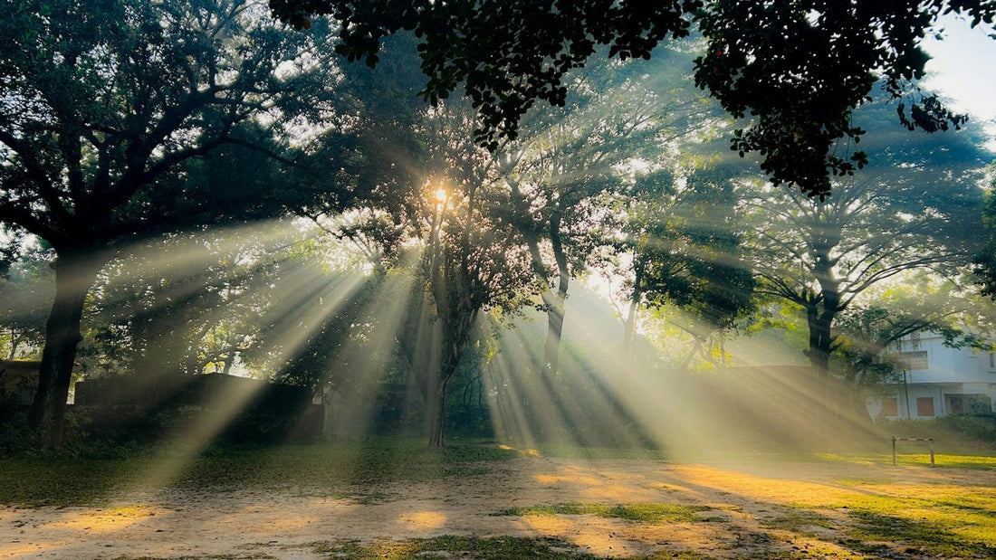 What Healing Looks Like in the Body