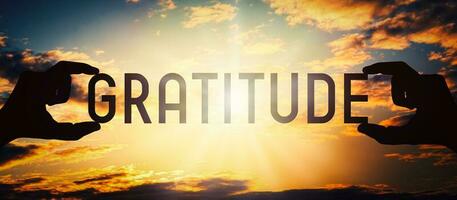 What does Gratitude in Everything mean?